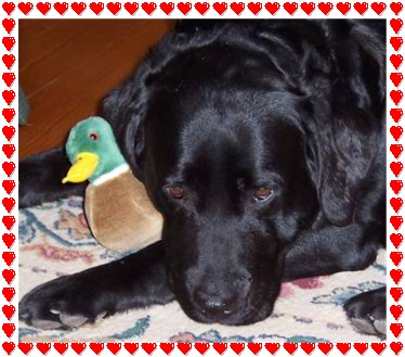 Jessie with her duck