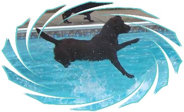 JR flying into pool